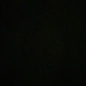 Meet your Posher, Ella